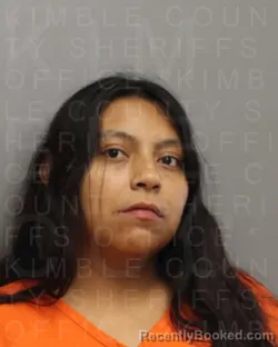 Mugshot of MARIA ISABEL RIVAS