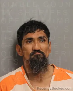 Mugshot of RAUL SALINAS