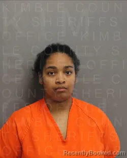 Mugshot of ERYKAH DELAINE COOK booked in Kimble County, Texas on April 16, 2026