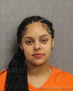 Mugshot of NEVAEH BLONDELL WILLIAMS booked in Kimble County, Texas on May 10, 2026