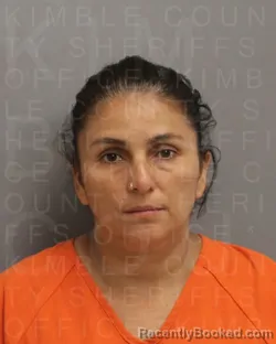 Mugshot of YERI MARIN VERGARA booked in Kimble County, Texas on May 15, 2026