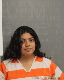 Mugshot of Maribel Hernandez-Perez booked in Kimble County, Texas on August 1, 2026