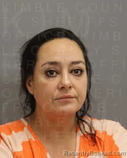 Mugshot of Jane Michelle Tinney booked in Kimble County, Texas on August 27, 2026
