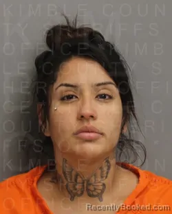 Mugshot of Amber Marie Benavidez booked in Kimble County, Texas on August 27, 2026