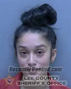 Booking photo from Lee County, Florida