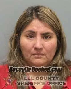 Booking photo from Lee County, Florida