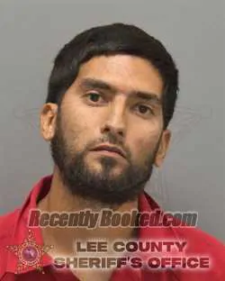 Booking photo from Lee County, Florida