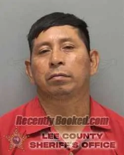 Booking photo from Lee County, Florida