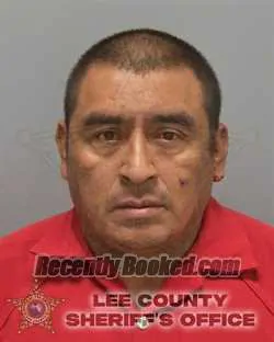 Booking photo from Lee County, Florida