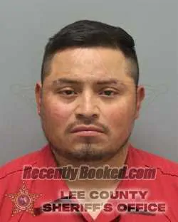 Booking photo from Lee County, Florida
