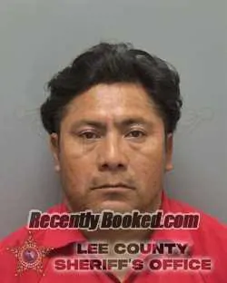 Booking photo from Lee County, Florida