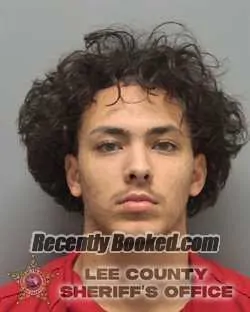 Booking photo from Lee County, Florida
