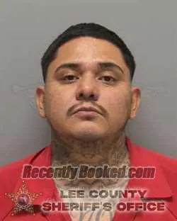 Booking photo from Lee County, Florida