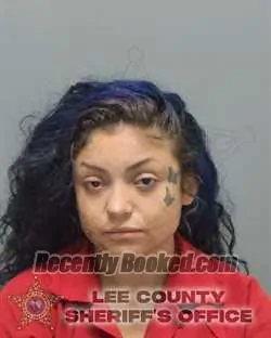 Booking photo from Lee County, Florida