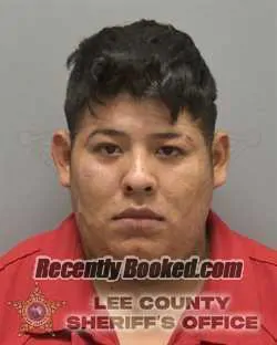 Booking photo from Lee County, Florida