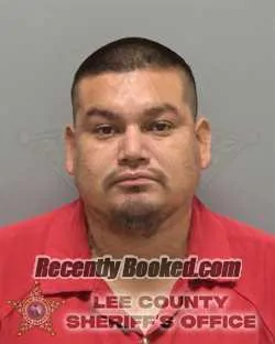 Booking photo from Lee County, Florida
