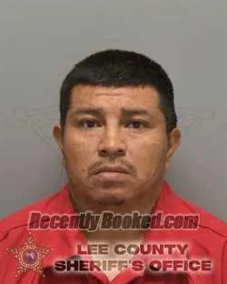 Booking photo from Lee County, Florida