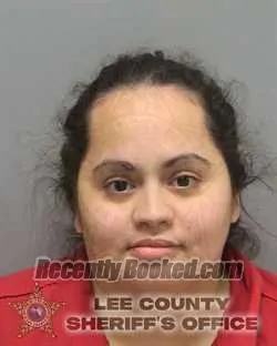 Booking photo from Lee County, Florida