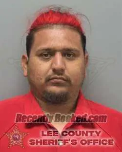 Booking photo from Lee County, Florida