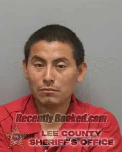 Booking photo from Lee County, Florida