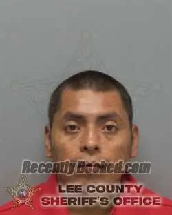 Booking photo from Lee County, Florida