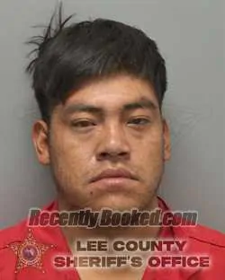 Booking photo from Lee County, Florida