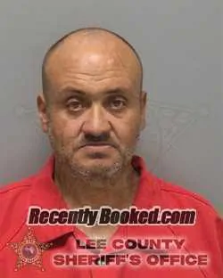 Booking photo from Lee County, Florida