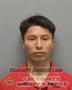Booking photo from Lee County, Florida