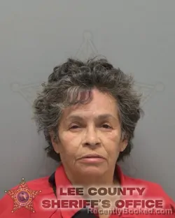 Booking photo from Lee County, Florida