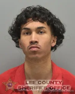 Booking photo from Lee County, Florida