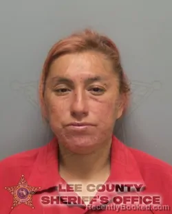 Booking photo from Lee County, Florida