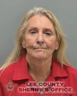 Booking photo from Lee County, Florida
