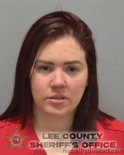 Booking photo from Lee County, Florida