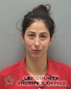 Mugshot of DAILIN DE LAS MERCEDES