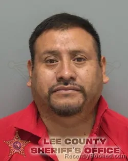 Booking photo from Lee County, Florida