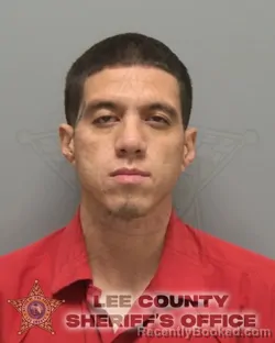 Booking photo from Lee County, Florida