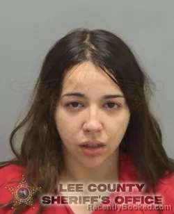 Booking photo from Lee County, Florida