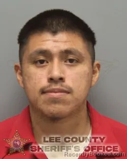 Booking photo from Lee County, Florida