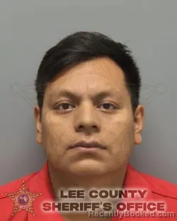 Booking photo from Lee County, Florida