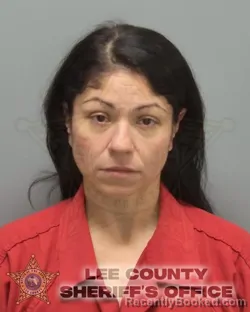 Booking photo from Lee County, Florida