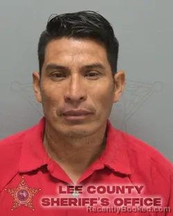 Mugshot of BALTAZAR RAMIREZ DOMINGO