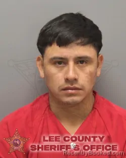 Mugshot of MAYNOR ANIBAL TZOY DE LA CRUZ