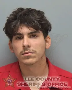 Mugshot of JORGE LUIS PEREZ