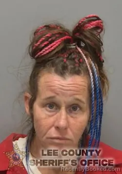 Mugshot of BOBBIE JEAN MCCLENITHAN