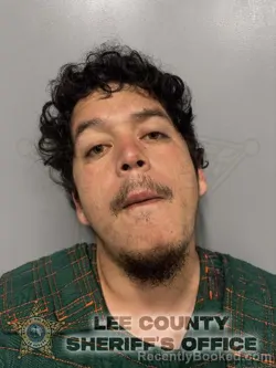 Mugshot of MELVIN JOSUE SANTANA