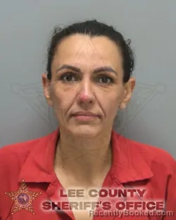 Booking photo from Lee County, Florida