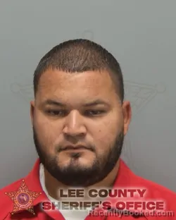 Mugshot of JOEL BIENVENIDO VERAS VALDEZ