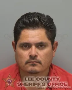 Mugshot of J CARMEN SOTO