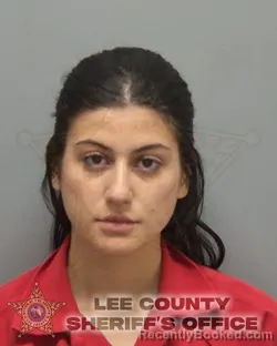 Booking photo from Lee County, Florida