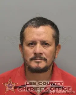 Booking photo from Lee County, Florida